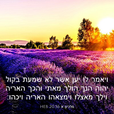 Picture 03 - מלכים א 20:36 HEB - ויאמר לו יען אשר לא שמעת - Bible Verse Picture