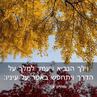 Picture 03 - מלכים א 20:38 HEB - וילך הנביא ויעמד למלך על - Bible Verse Picture