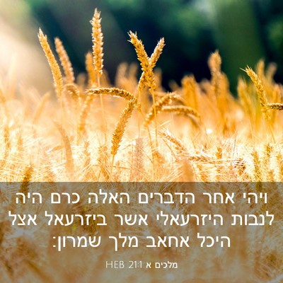 Picture 03 - מלכים א 21:1 HEB - ויהי אחר הדברים האלה כרם - Bible Verse Picture
