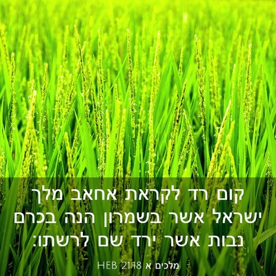 Picture 03 - מלכים א 21:18 HEB - קום רד לקראת אחאב מלך ישראל - Bible Verse Picture