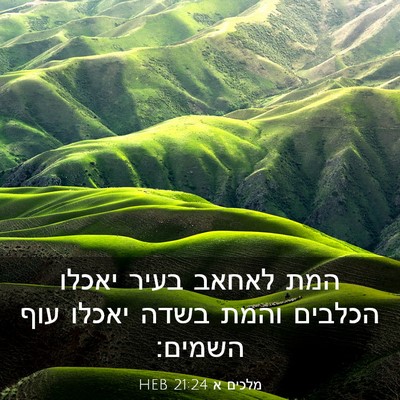 Picture 03 - מלכים א 21:24 HEB - המת לאחאב בעיר יאכלו - Bible Verse Picture
