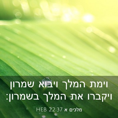 Picture 03 - מלכים א 22:37 HEB - וימת המלך ויבוא שמרון - Bible Verse Picture