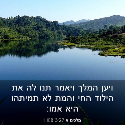 Picture 03 - מלכים א 3:27 HEB - ויען המלך ויאמר תנו לה את - Bible Verse Picture