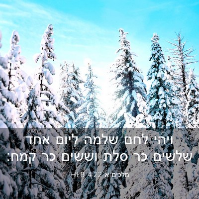 Picture 03 - מלכים א 4:22 HEB - ויהי לחם שלמה ליום אחד - Bible Verse Picture