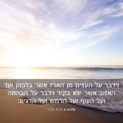 Picture 03 - מלכים א 4:33 HEB - וידבר על העצים מן הארז אשר - Bible Verse Picture