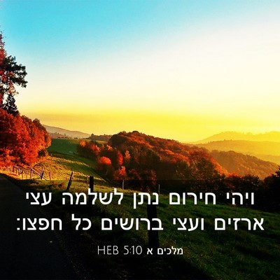 Picture 03 - מלכים א 5:10 HEB - ויהי חירום נתן לשלמה עצי - Bible Verse Picture
