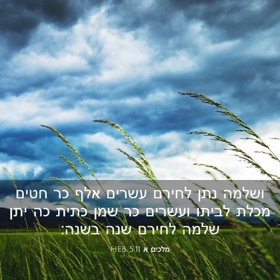 Picture 03 - מלכים א 5:11 HEB - ושלמה נתן לחירם עשרים אלף - Bible Verse Picture