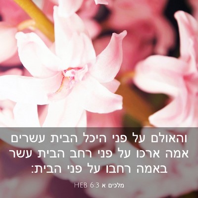Picture 03 - מלכים א 6:3 HEB - והאולם על פני היכל הבית - Bible Verse Picture