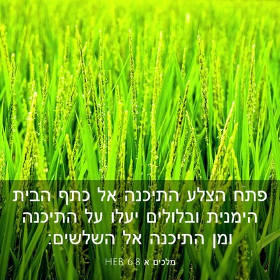 Picture 03 - מלכים א 6:8 HEB - פתח הצלע התיכנה אל כתף הבית - Bible Verse Picture