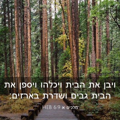 Picture 03 - מלכים א 6:9 HEB - ויבן את הבית ויכלהו ויספן - Bible Verse Picture