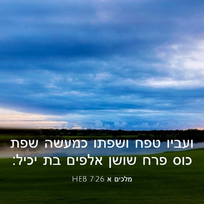 Picture 03 - מלכים א 7:26 HEB - ועביו טפח ושפתו כמעשה שפת - Bible Verse Picture