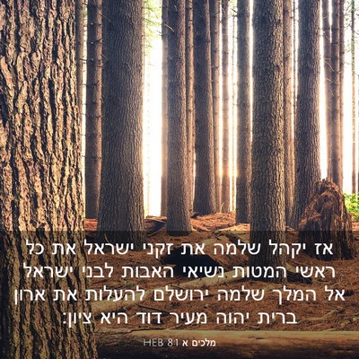 Picture 03 - מלכים א 8:1 HEB - אז יקהל שלמה את זקני ישראל - Bible Verse Picture