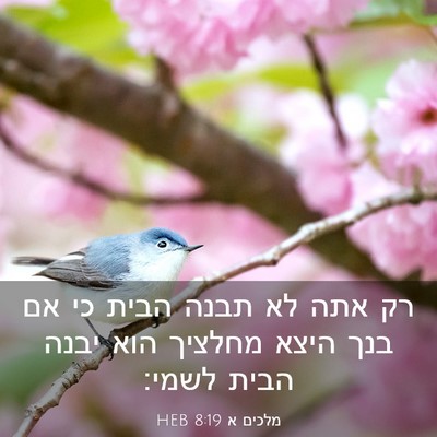 Picture 03 - מלכים א 8:19 HEB - רק אתה לא תבנה הבית כי אם - Bible Verse Picture
