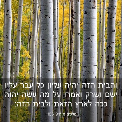 Picture 03 - מלכים א 9:8 HEB - והבית הזה יהיה עליון כל עבר - Bible Verse Picture