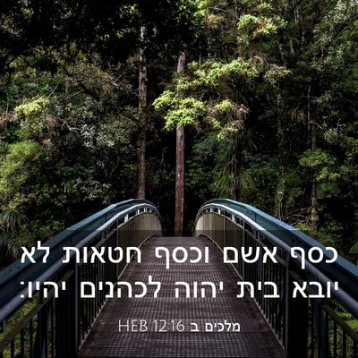 Picture 03 - מלכים ב 12:16 HEB - כסף אשם וכסף חטאות לא יובא - Bible Verse Picture