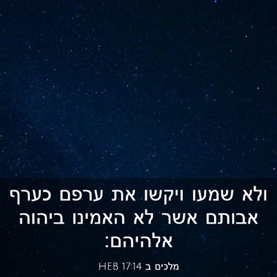 Picture 03 - מלכים ב 17:14 HEB - ולא שמעו ויקשו את ערפם כערף - Bible Verse Picture