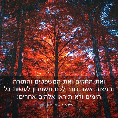 Picture 03 - מלכים ב 17:37 HEB - ואת החקים ואת המשפטים - Bible Verse Picture