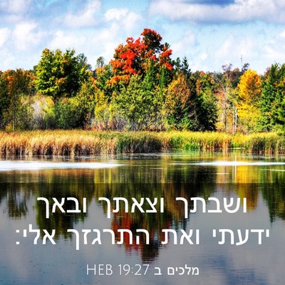 Picture 03 - מלכים ב 19:27 HEB - ושבתך וצאתך ובאך ידעתי ואת - Bible Verse Picture