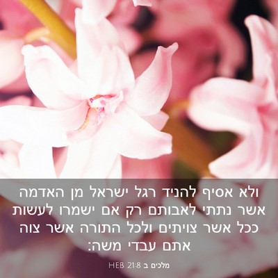 Picture 03 - מלכים ב 21:8 HEB - ולא אסיף להניד רגל ישראל מן - Bible Verse Picture