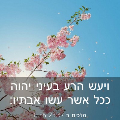 Picture 03 - מלכים ב 23:37 HEB - ויעש הרע בעיני יהוה ככל אשר - Bible Verse Picture
