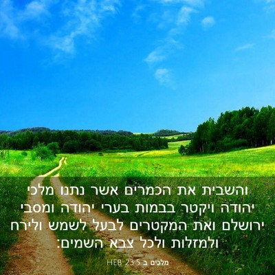 Picture 03 - מלכים ב 23:5 HEB - והשבית את הכמרים אשר נתנו - Bible Verse Picture