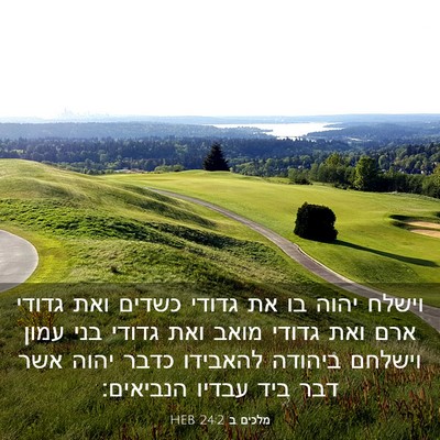 Picture 03 - מלכים ב 24:2 HEB - וישלח יהוה בו את גדודי - Bible Verse Picture