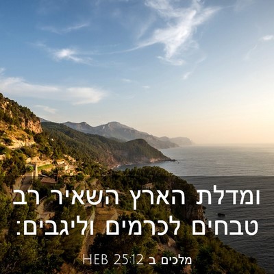 Picture 03 - מלכים ב 25:12 HEB - ומדלת הארץ השאיר רב טבחים - Bible Verse Picture