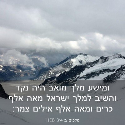 Picture 03 - מלכים ב 3:4 HEB - ומישע מלך מואב היה נקד - Bible Verse Picture