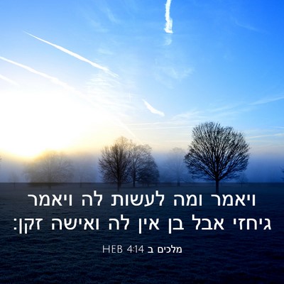 Picture 03 - מלכים ב 4:14 HEB - ויאמר ומה לעשות לה ויאמר - Bible Verse Picture