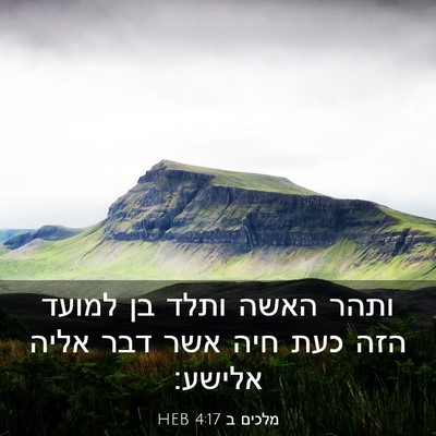 Picture 03 - מלכים ב 4:17 HEB - ותהר האשה ותלד בן למועד הזה - Bible Verse Picture