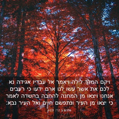 Picture 03 - מלכים ב 7:12 HEB - ויקם המלך לילה ויאמר אל - Bible Verse Picture