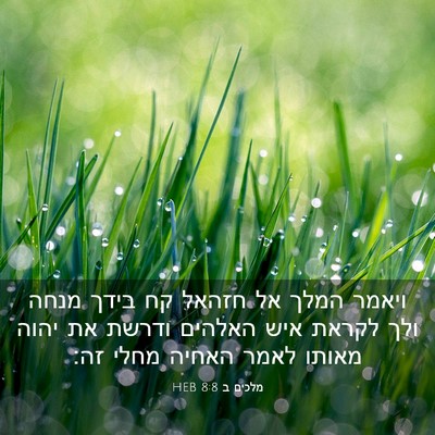 Picture 03 - מלכים ב 8:8 HEB - ויאמר המלך אל חזהאל קח בידך - Bible Verse Picture