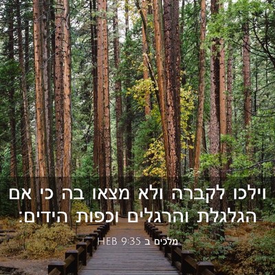 Picture 03 - מלכים ב 9:35 HEB - וילכו לקברה ולא מצאו בה כי - Bible Verse Picture