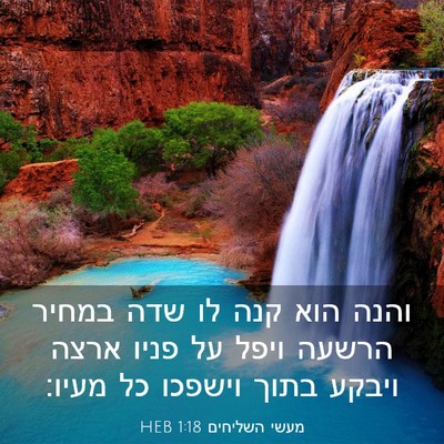 Picture 03 - מעשי השליחים 1:18 HEB - והנה הוא קנה לו שדה במחיר - Bible Verse Picture