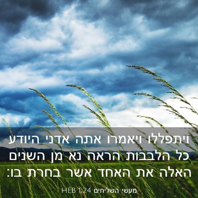 Picture 03 - מעשי השליחים 1:24 HEB - ויתפללו ויאמרו אתה אדני - Bible Verse Picture