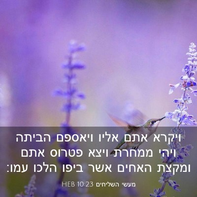 Picture 03 - מעשי השליחים 10:23 HEB - ויקרא אתם אליו ויאספם - Bible Verse Picture