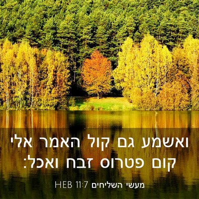 Picture 03 - מעשי השליחים 11:7 HEB - ואשמע גם קול האמר אלי קום - Bible Verse Picture