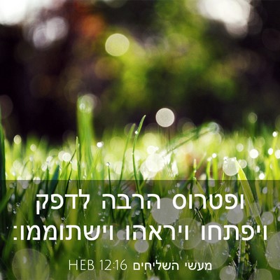 Picture 03 - מעשי השליחים 12:16 HEB - ופטרוס הרבה לדפק ויפתחו - Bible Verse Picture