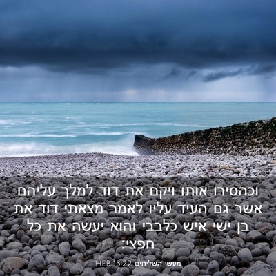 Picture 03 - מעשי השליחים 13:22 HEB - וכהסירו אותו ויקם את דוד - Bible Verse Picture