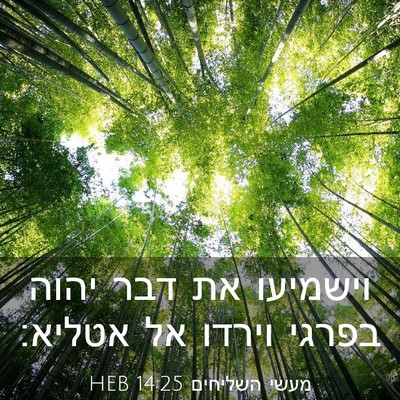 Picture 03 - מעשי השליחים 14:25 HEB - וישמיעו את דבר יהוה בפרגי - Bible Verse Picture