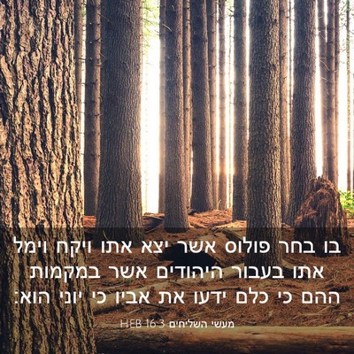 Picture 03 - מעשי השליחים 16:3 HEB - בו בחר פולוס אשר יצא אתו - Bible Verse Picture