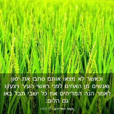 Picture 03 - מעשי השליחים 17:6 HEB - וכאשר לא מצאו אותם סחבו את - Bible Verse Picture