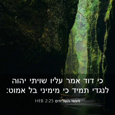 Picture 03 - מעשי השליחים 2:25 HEB - כי דוד אמר עליו שויתי יהוה - Bible Verse Picture