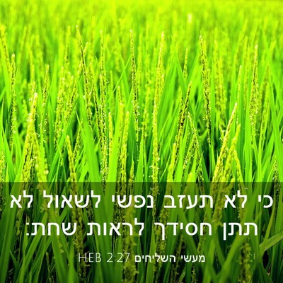 Picture 03 - מעשי השליחים 2:27 HEB - כי לא תעזב נפשי לשאול לא - Bible Verse Picture