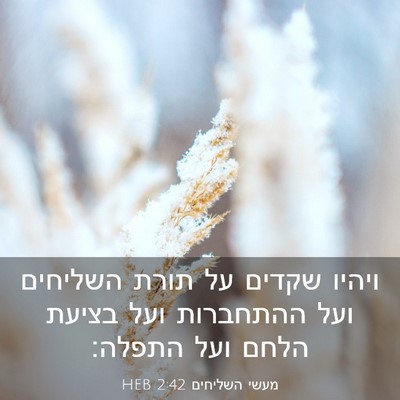 Picture 03 - מעשי השליחים 2:42 HEB - ויהיו שקדים על תורת - Bible Verse Picture
