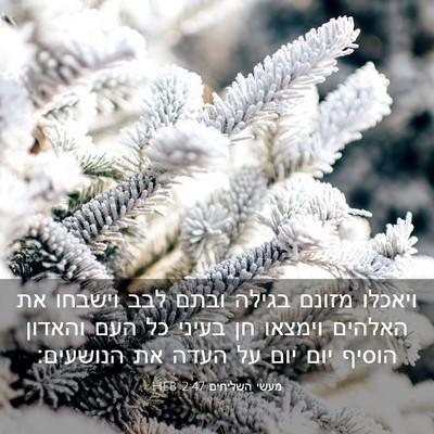Picture 03 - מעשי השליחים 2:47 HEB - ויאכלו מזונם בגילה ובתם - Bible Verse Picture