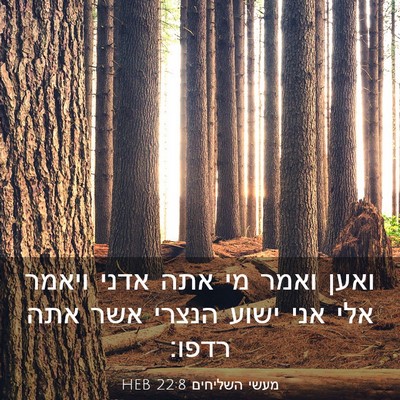 Picture 03 - מעשי השליחים 22:8 HEB - ואען ואמר מי אתה אדני ויאמר - Bible Verse Picture