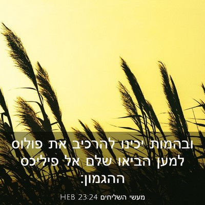 Picture 03 - מעשי השליחים 23:24 HEB - ובהמות יכינו להרכיב את - Bible Verse Picture