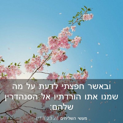 Picture 03 - מעשי השליחים 23:28 HEB - ובאשר חפצתי לדעת על מה שמנו - Bible Verse Picture