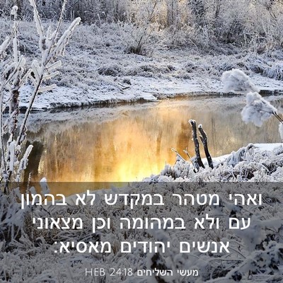 Picture 03 - מעשי השליחים 24:18 HEB - ואהי מטהר במקדש לא בהמון עם - Bible Verse Picture